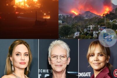 Angelina Jolie, Halle Berry, Jamie Lee Curtis & More Stars Step Up to Support Amid LA Fires