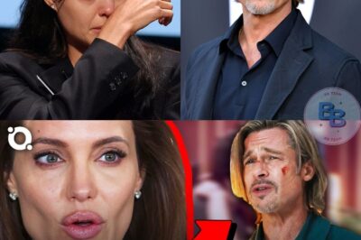 Why Angelina Jolie Desperately Wants To Cancel Brad Pitt