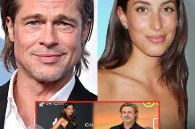 Brad Pitt Wants Ines de Ramon to Sign Prenup If They Get Married