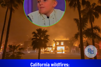 California wildfires: Former child star d!es on family estate after ‘water shut off’