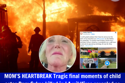 MOM’S HEARTBREAK Tragic final moments of child actor Rory Sykes killed in LA wildfires revealed as horrified mom watched Malibu home burn. His last heart-wrenching cry was devastating to those who witnessed it