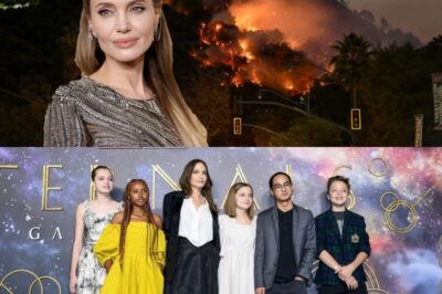 Angelina Jolie received backlash after thanking a wildfire for forcing her children to follow her instructions. What happened?