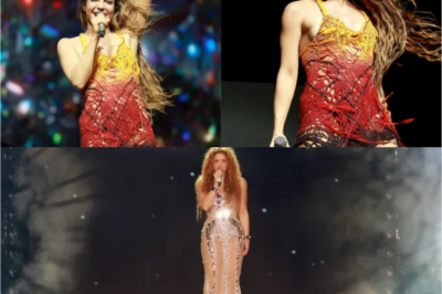 Shakira’s team unexpectedly announces that they WILL SUE the production company for her concert at Atanasio Girardot Stadium after discovering that the roof HAD BEEN DELIBERATELY DAMAGED to put her in danger.