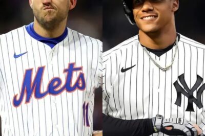 (N) Soto’s NEW Partner in Crime? Mets Icon Eyes Epic Comeback for HUGE Trade!