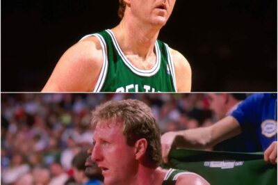 Larry Bird’s Emotional Confession: The Error That Ended His Legendary Career – You Have to See This!