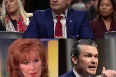 Alyssa Farrah Griffin from The View caused controversy by calling Pete Hegseth a jerk who “doesn’t deserve to stay in America” during a recent broadcast.