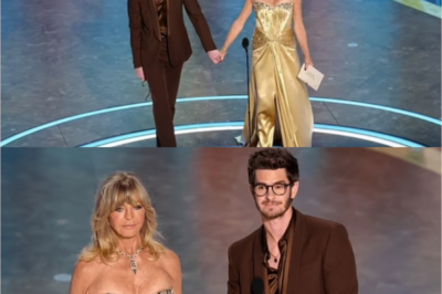 Goldie Hawn caused a stir at the Oscars when she shouted “I CAN’T SEE!” unexpectedly while giving her speech. What could have led to this sudden outburst?