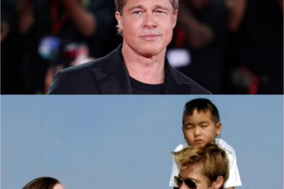 A trusted confidant of Angelina Jolie disclosed that the star’s s3xu@l orientation has shifted following her split from Brad Pitt. The insider shared, “There’s a reason she never publicly has a man by her side…”