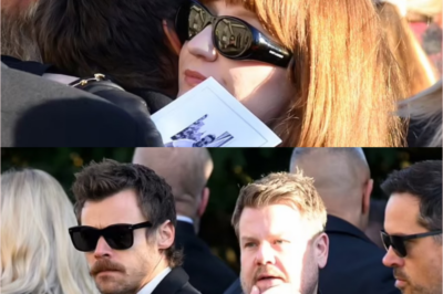 A lip-reading expert uncovers what Harry Styles and Kimberley Walsh whispered to each other while embracing at Liam Payne’s funeral: “Fight for your child…”