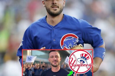 (M) MASSIVE DEAL: Kris BRYANT Joins Yankees in SHOCKING Move