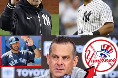 CLUBHOUSE CANCER: Boone ACCUSES Jasson DOMINGUEZ of “CONTAMINATING The Team”