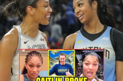 Angel Reese & A’ja Wilson GO NUTS After Caitlin Clark CRUSHED Old WNBA Fandom w ONE STATISTIC! They said something that angered fans
