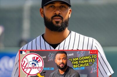 URGENT! $56 MILLION ALL-STAR FROM MARLINS TO JOIN YANKEES IN TRADE PACKAGE FOR MARCUS STROMAN?