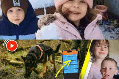 BREAKING: Lily & Jack Sullivan Mystery SHOCKING Discovery – Footprint FOUND in Search Area! Are We Closer to Finding the Missing Kids? Parents SPEAK OUT Amid Terrifying Clues…