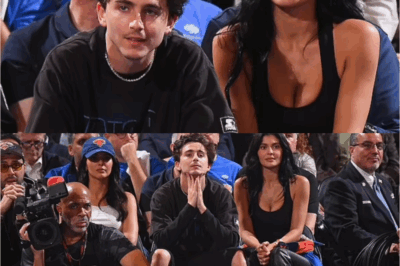 Tension flares at Knicks vs Celtics game as Dave Portnoy and Timothée Chalamet clash courtside!