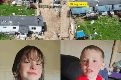 Another Heartbreaking Day: Lily and Jack Sullivan Still Missing in Pictou County, 100 Miles Northeast of Halifax