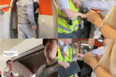 MILE HIGH MELTDOWN! EasyJet Passenger ERUPTS in SHOCKING Tirade Before Crew Member SNAPS and SLAPS Him!