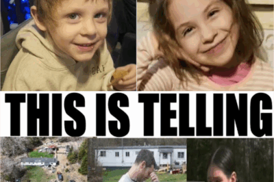 Expert Drops Bombshell in Lilly and Jack Sullivan Case — Red Flags Just Got Worse
