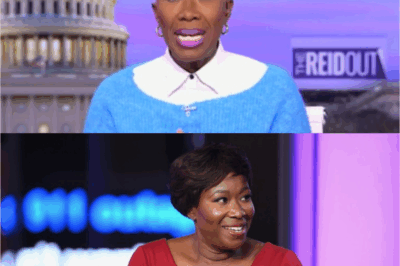 MSNBC presenter Chris Hayes is very worried about the network’s unclear future after Joy Reid’s surprising dismissal – could this be the beginning of a major upheaval at the renowned station?