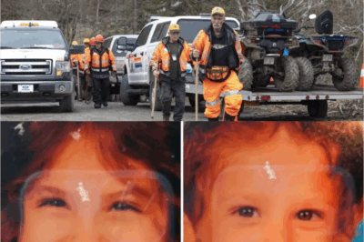 LILLY & JACK SULLIVAN: SEARCH ZEROES IN ON SHOCKING ‘SECRET SPOT’ — BREAKING 48-HOUR CRACKDOWN IN PICTOU COUNTY WOODS!