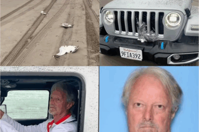 INSANE! ‘Seagull Slaughterer’ Jailed After HORRIFIC Car Rampage Kills 25 Birds—You Won’t Believe What He Said In Court!