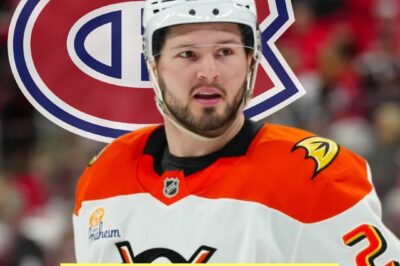 FORMER PLAYER AGENT MAKES JAW-DROPPING REVELATION: If he were Canadiens GM, he’d SHAKE UP the entire franchise with a BOLD, UNTHINKABLE MOVE that could CHANGE Montreal hockey FOREVER! Fans left STUNNED as details emerge about a potential REVOLUTION that would send SHOCKWAVES through the NHL and beyond!