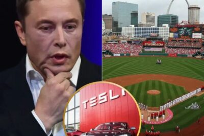 HOLY SHIT: St. Louis Cardinals Reject Elon Musk’s Tesla Ad at Busch Stadium! Cardinals Give Very Good Reason for Rejection That Will Silence Elon Musk…