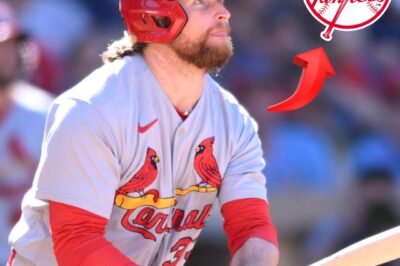 Shock Move Looming: Yankees Eye Explosive Cardinals Infielder in Stunning Trade to Rescue Crumbling Season After Devastating Injury Crisis Leaves Team Desperate—Could This Unexpected Superstar Acquisition Finally Ignite Their Championship Dreams and Rewrite the Entire Narrative of the MLB Season in One Jaw-Dropping, Game-Changing Deal Nobody Saw Coming?