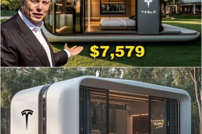Elon Musk Just Dropped a $6,999 Tesla Tiny House – Is This the End of Traditional Housing?