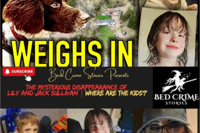 EXPLOSIVE REVELATION: RCMP Insider BLOWS CASE WIDE OPEN – Sullivan Kids’ VANISHING POINT Exposes TERRIFYING TRUTH!
