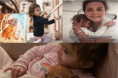 3-YEAR-OLD CLAIRE BELL VANISHED IN MONTREAL! Parents Beg for Clues as ‘Mysterious Disappearance’ Shocks Nation