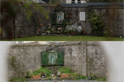 HORRIFYING DISCOVERY: 800 BABIES’ REMAINS ‘LIKELY’ in Hidden Septic Tank at Unwed Mothers’ Home—Officials EXPOSE the SHOCKING Truth!