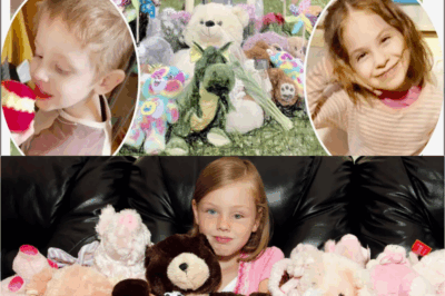 BREAKING: What Police Found in the Woods Will SHOCK You! Missing Sullivan Children Mystery Takes TERRIFYING Turn – Parents’ Dark Secret REVEALED?!