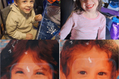 “BROTHERS IN PERIL! Search for Missing Pictou County Siblings Suddenly Called Off – Is Hope Fading?