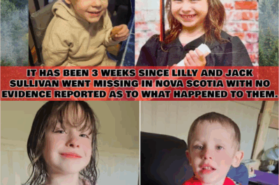 3 WEEKS GONE… LILLY & JACK SULLIVAN STILL MISSING! POLICE FIND ZERO EVIDENCE – WHAT HORRIFYING TRUTH IS HIDDEN IN THE SHADOWS?