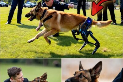 MUSK’S MIRACLE: Elon Musk Funds Life-Changing Tech for Injured Police Dogs—What Happens Next Has the Whole World Cheering!