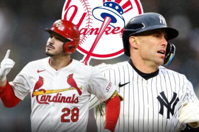 🚨 URGENT ALERT: YANKEES’ NEW SIGNING COULD TRIGGER A GAME-CHANGING TRADE!