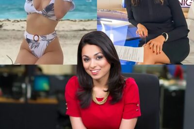From Breakthrough Anchor to Household Name: Inside Aishah Hasnie’s Success Story and Current Relationship Status