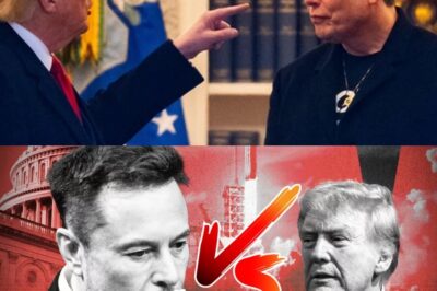 Friendship gone sour: Elon Musk speaks out in support of impeaching and removing Donald Trump from the presidency