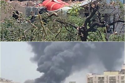 Air India crash live – At least 242 people on board London bound flight from Ahmedabad