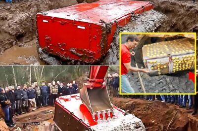 Smith’s Cove Just Rewrote History: Legendary Oak Island Treasure Uncovered, Leading to an Even BIGGER Secret! and Then THIS Happened Check the comment 👇