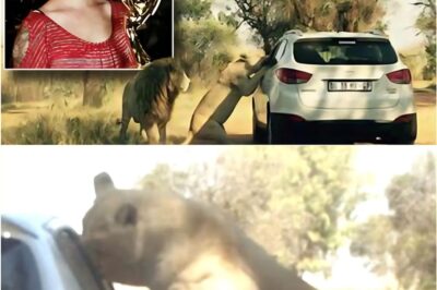 Tragic Irony: Wildlife Advocate Katherine Chappell Fatally Mauled During South African Conservation Trip She Hoped Would Save Animals from Poachers