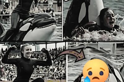 Dive into the chilling story of marine biologist Maris Ellington’s tragic encounter with an orca. Witness the shocking truth behind her last day as beauty clashed with nature’s untamed fury