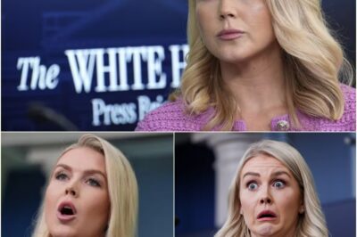 “Karoline vs. the Host”: The Interview That Ended in Silence and Sparks a Media Firestorm