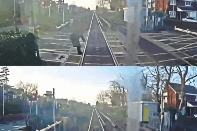 Woman CHEATS DEATH by MILLISECONDS! What She Did at This Railway Crossing Will Leave You GASPING