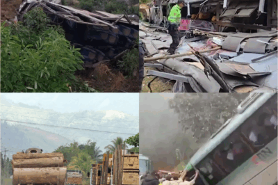 DEATH CRASH HORROR: Double-Decker Bus Plummets 164ft into Ravine, Leaving Trail of Blood and Bodies – You Won’t Believe the Twisted Details!
