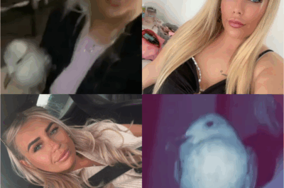 VIRAL TWIST: Girl’s Wild Night Out Takes SHOCKING Turn When She Rescues Seagull – What Happened Next Will SHOCK You!
