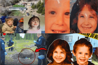 100 Days of SILENCE… RCMP JUST BURIED A MAJOR CLUE IN THE Jack & Lily DISAPPEARANCE – Dark Secrets Are Uncovering!