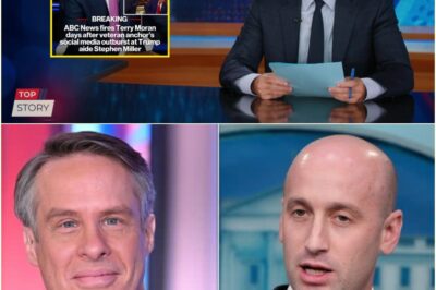 NO MERCY: Jon Stewart Rips ABC as ‘A F–king Joke’ for Firing Terry Moran to Appease the White House—Calls It a Historic Disgrace for Journalism and Unmasks the Humiliating Secret ABC Hoped to Bury