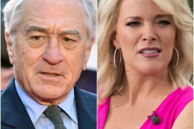 The Power of Restraint: How Robert De Niro Silenced Megyn Kelly on Live TV Without Raising His Voice
